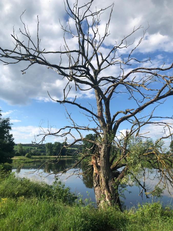 Idyllische Ferienwohnungen In Mossendorf Burglengenfeld Kültér fotó